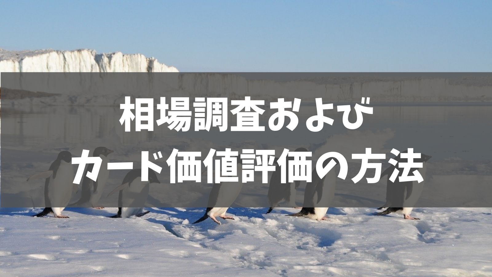 ポケカ相場の調査方法およびカード評価基準 あでりー式ポケカ期待値